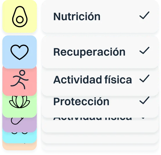 Las cuatro áreas del plan marcadas como completadas: nutrición, recuperación, actividad física y protección.